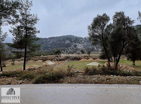 Burdur Bucak'ta 7.009 M² Satılık Yol Kenarı Tarla *ref521