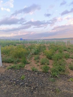 Yılmaz Emlak Ahmet Çayırlı Arsa