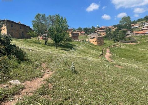 Altın Emlak'tan Fırsat Konut İmarlı Arsalar Üç Parsel Bir Fiyat