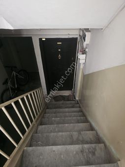 Masslıfe Gayrimenkul'den Acil Satılık Daire