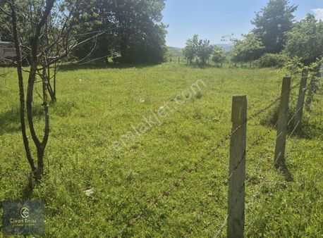 Alanlıda 4 Kata İmarlı Ve Bitişik 1552 M2 3 Parsel Arsa