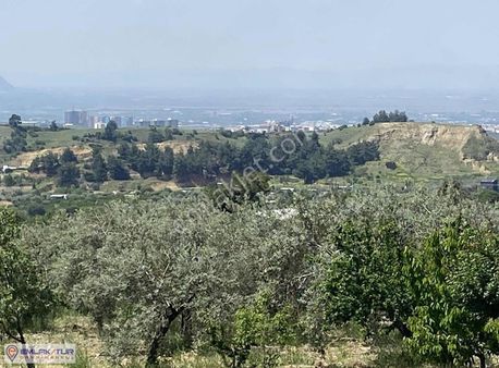 Emlak/tur'dan Yayla Mh. Müstakil Tapulu Arazi