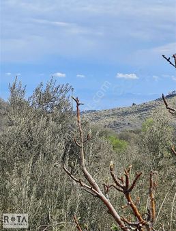 Küçükkuyu-bahçedere-deniz Manzaralı Köyiçi-rota