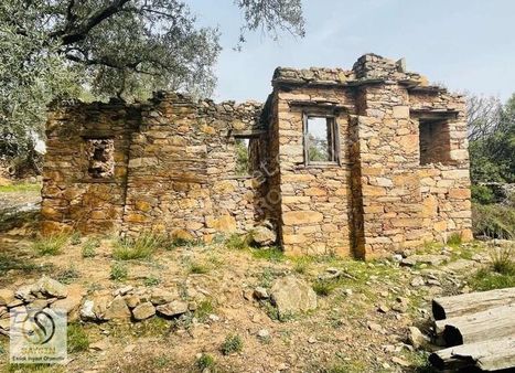 Fırsat Fiyat... Numarataj Almaya Uygun. Resmi Yolu Var.