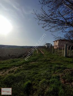 Uğurman Emlak'tan Asfalta Ve Çilek Bahçelerine Yakın Arazi