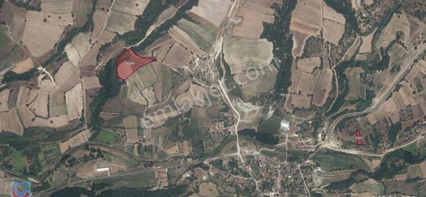 Kırklareli, Pınarhisar'da 12.024,71m² Suyu Ve Yolu Olan Verimli Tarla