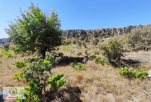 Yatırımlık Fırsat Al Kenara At 852mt Tek Tapu Bağ