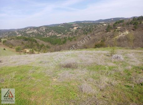 Bilecik Gölpazarı Sarihacilar Köyünde Bahçe 3400 M2