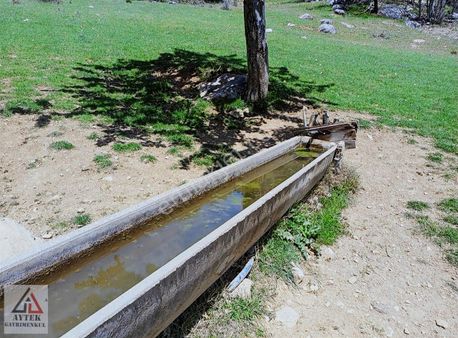 Bilecik Gölpazarı Goldaginda 1700 Bahçe