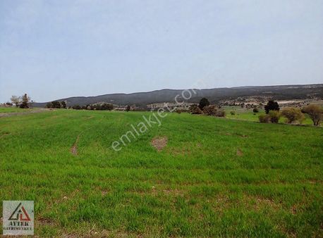 Kütahya Emet Çerte Yıldırım Mah 3774 M2 Arsa Kelepir