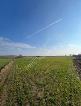 Vize Çakıllı Hürriyet Te 410 Metre Hisse İyi Konumda