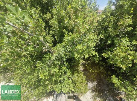 Landex'den Hisar Mahalesin'de 268m2 B+2 Doğanın Kalbinde Arsa