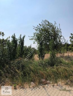 Profasor* Den Karacabey De Köy İçi İmarlı Arsa