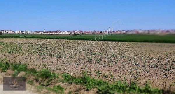 İmamoğlu Dan Saray B.yoncalı Da Yola Cephe Tek Tapu 19.300 M2