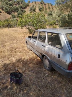 Nazilli Pınarbaşında Satılık İncir Ve Zeytin Bahçesi