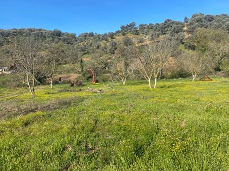 Bayındır Kızılkeçili Mh Satılık Bahçe