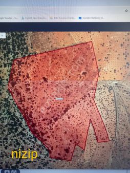 Kocaoğlu Emlak'dan Yatırıma Uygun Satılık Fıstık Ve Zeytinlik