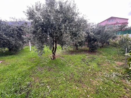 Goldhouse Dan Satılık Arsa Turizmin Cenneti Ölüdeniz De 1022 M2 İmarlı