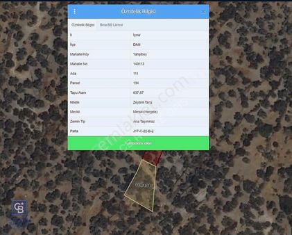 Coldwell Banker Route'tan Dikili Yahşibeyde Yatırımlık Zeytinlik