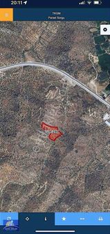 Muğla Milas Bafa,da Satılık 8275 Metre Zeytinlik