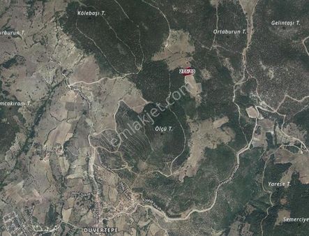 Acil Satılık 3.938 M2 Fırsat Arazi Sadece 149.000 Tl