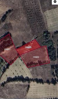 Yatırım Düşenenler İçin