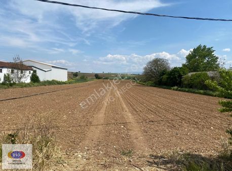 Tek İşim Gayrimenkul'den Satılık Yatırımlık Tarla