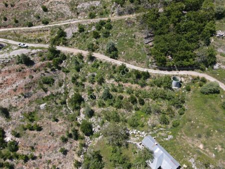 Alanya Çay Arası Yaylasında Satılık 1507 M2 Ceviz Bahçesi