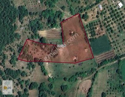 The World Seller'den Bursa Keles'te 9.745m2 Yatırımlık Tarla