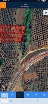 The World Seller 'den 3 Arkadaş 3 Kardeş İçin Uygun Hobi Bahçesi