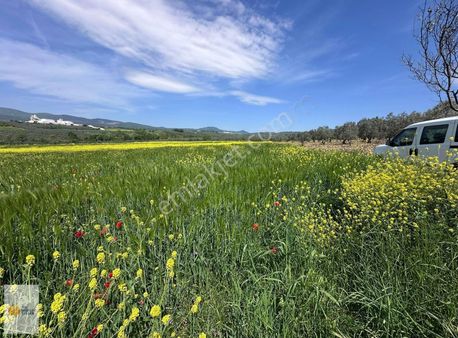 The World Seller'den Yatırımınıza Değer Katacak Bir Arsa
