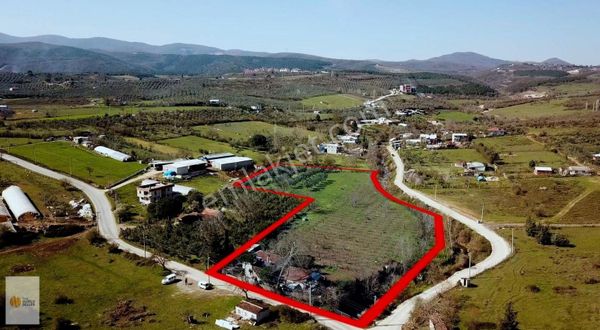 The World Seller'den Olukderede Hızla Değer Kazanan Arazi