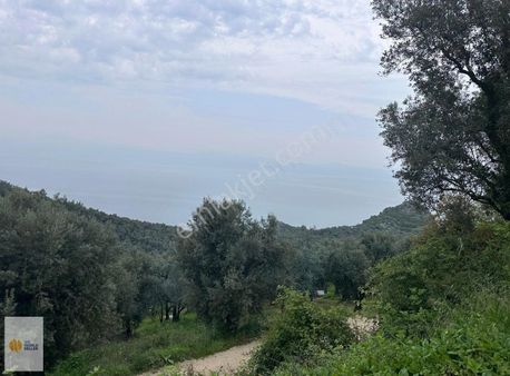 The World Seller'den Gemiç Köyünde Doğa İçinde Yatırımlık Arazi