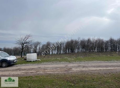 Emsalsiz Konumda Göl Ve Deniz Manz. Süper Yer