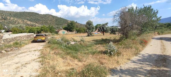 Milas Selimiye Derince'de Köyiçi İmarlı Satılık Arsa