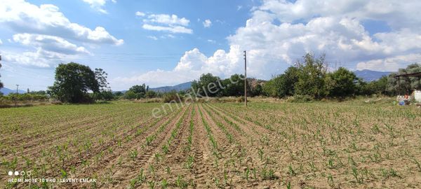 Milas Selimiye'de 3 Kat Konut İmarlı Satılık Arsalar