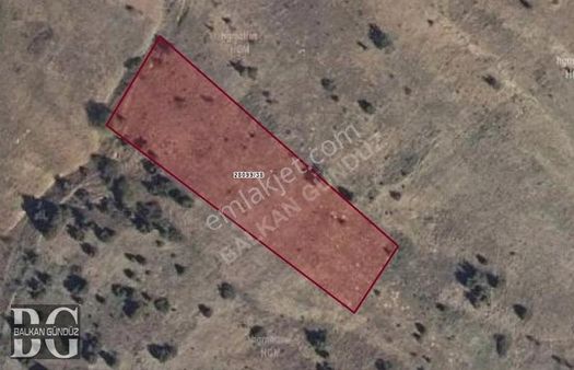 Balkan Gündüz'den Çalkara Mahallesinde Satılık 3520 M2 Tarla