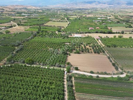 Antika'dan Bademli'de Satılık Müstakil Ev Ve İncir Bahçesi