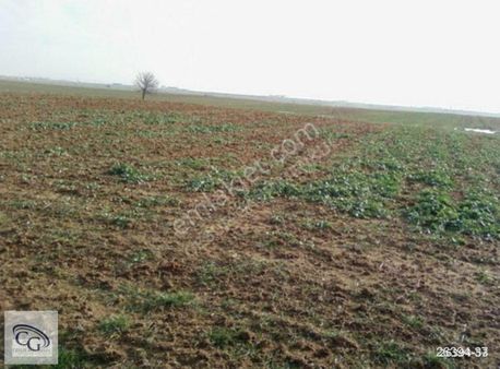 M.ereğlisi-çeşmeli'de Satılık Verimli 11.700 M² Tarla