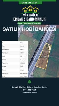 Miroğlu Gayrimenkul'den Uşak Merkez Bölmede Satılık 2+1 Ev + Meyve Bahçesi