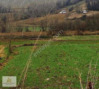 Kandırada Köyün Dibinde 3.489 M2 Düz Geleceği Parlak