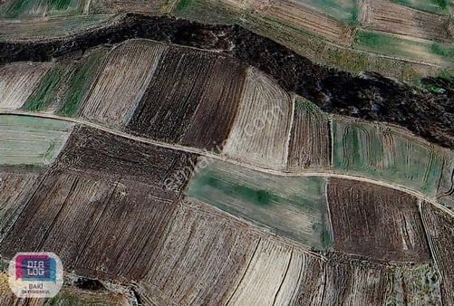 Değirmenköy İsmetpaşa |3368 M2 Resmi Yola Cephe Fırsat Parsel