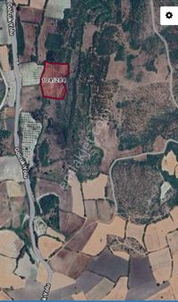 Balıkesir/sındırgı/gölcük. 13.000 M2 Fırsat Tarla. Asfalta  bir Parsel Var.