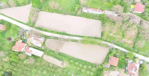 Bayrakçeken'den Mudurnu Çepni Köyü Köy İçi Satılık Ev Ve Arsası