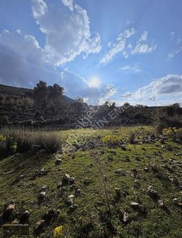 Satılık Tapulu Bahçe Merkeze Yakın