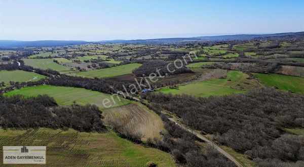 Vize Akpınar Müstakil Tek Tapu Orman Cephe 1.011 M2 Tarlamız!!