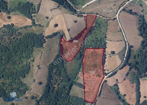 Çanakkale Biga Dikmen Köyü 31.600m2 Satılık Kupon Tarla