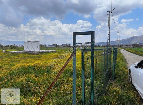 Yeşilyaylada 60 Agaçlık Bahçe Elektrik Su Var