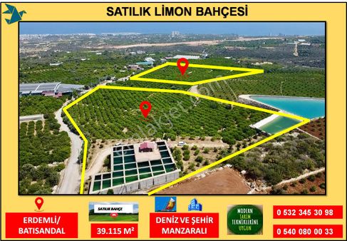 Erdemli Batısandal Da Deniz Manzaralı Satılık Limon Bahçesi