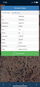 Aşağı Arılda Bağevlik Yolu Var Elektiriğe Yakın